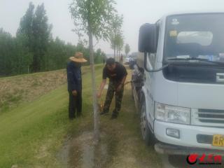 东明黄河河务局：迎“烤”验保成活 战酷暑护新绿