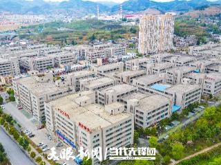 促进高质量充分就业 | 毕节七星关：融通产业链与就业链