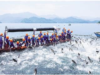 淳安：被千岛湖塑造和改变的城市