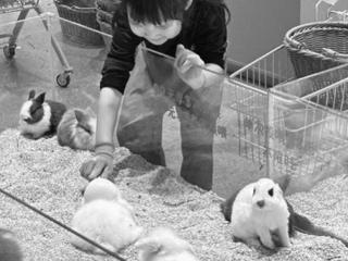 商场里的“动物乐园”成解压新选择