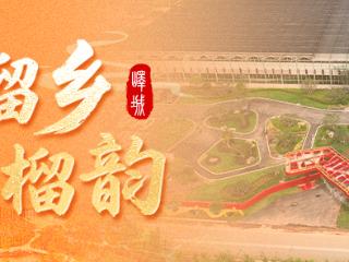 发现枣庄之美 |底阁渔光里：垂钓擂台 + 亲子摸鱼，周末冲！