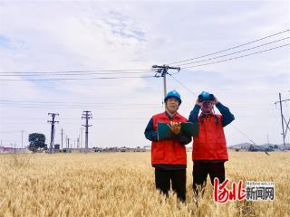 国网元氏县供电公司：电力护航 “三夏” 守护夏收“丰景”