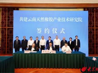 助力天然橡胶产业转型升级 青岛科技大学与云南共建天然橡胶产业技术研究院
