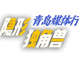 见证创新崛起！青岛市隐形独角兽企业媒体行次日揭秘四家创新企业硬实力