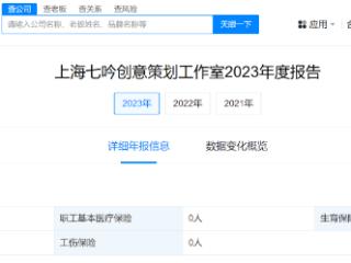 李雪琴实控工作室 缴纳社保人数是0