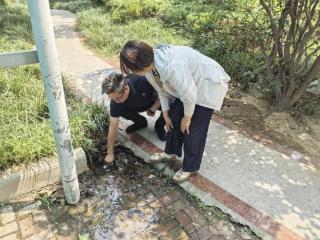 济阳街道财工街社区深入排查排水状况，提升居民生活环境质量