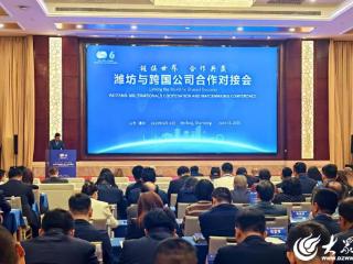 链接世界 合作共赢！潍坊与跨国公司合作对接会举办