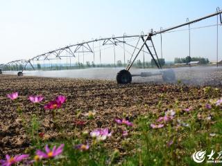 临沂：节水灌溉保夏播