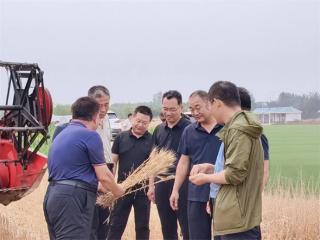 省农科院曹新有一行到阳信县流坡坞镇调研
