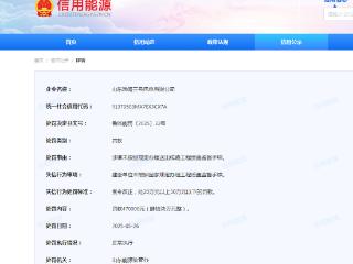 山东渤海三号风电有限公司违规被罚47万元