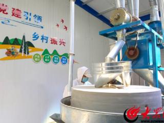 邹平市韩店镇：石磨面粉“磨”出乡村振兴致富路