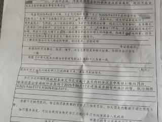 河南男子反映村干部家占道遭殴打最新进展：打人者被处行政拘留10日