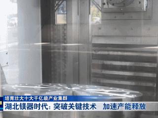 培育壮大十大千亿级产业集群丨湖北镁器时代：突破关键技术 加速产能释放