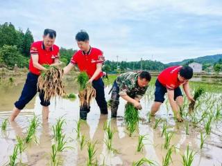 中国石化1.1万座加油站服务农机 助力“三夏”