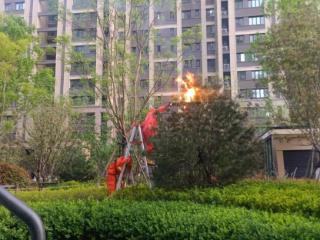 港沟街道梧桐台社区快速处理马蜂窝隐患