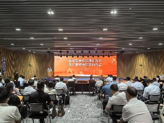 “政”解丨如何引来“金凤凰”？河南亮出“一盘棋”