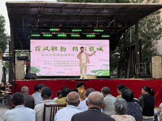 金湖县黎城街道：“荷风雅韵”绽芳华 文旅交融绘新景