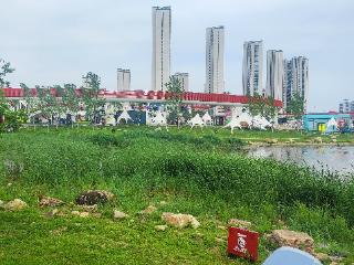 报道追踪 | 长春南溪里“红嘴鸥栖息地”告示牌已撤掉