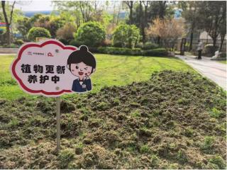 绿化养护背后的“匠心”