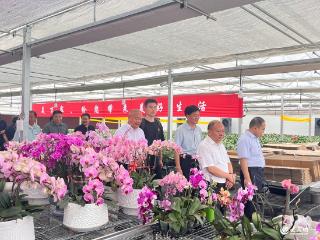 共绘花漾新篇！全国花卉盆景专家齐聚临沂科技职业学院