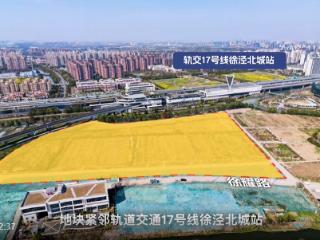 上海青浦徐泾宅地30.528亿元底价成交，本土房企大华集团摘得