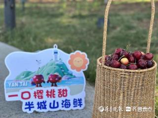 @全国应届高考生，持证可免费游览蓬莱阁，邀你开启烟台甜蜜之旅