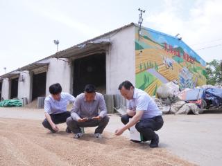 夏收大考，南京农行金融“答卷”护丰收