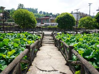 乡愁印迹 村史村事｜金沙县桂花村：温泉上的华丽转身