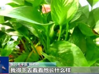 骗子被山东奶奶“三连杀” 分文未得还被送进派出所