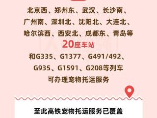 新增青岛等20座车站！今起铁路部门扩大高铁宠物托运服务试点范围
