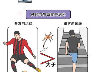 2025体育“科”代表|运动项目选择要“营养均衡”