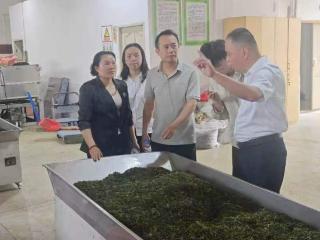 工行凯里分行“农链通”：数字金融赋能 激活山地特色农业新动能