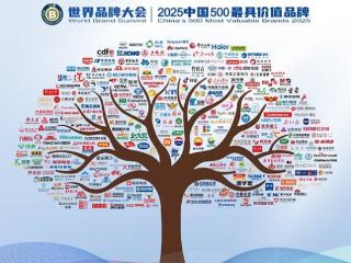 三生御坊堂荣登2025年《中国500最具价值品牌》榜单，以现代中医药智慧焕发品牌新生力