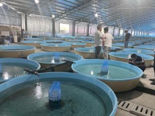 工行铜仁分行：金融“活水”助力冷水鱼产业游出新路径