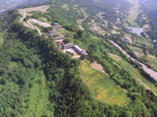 四川剑阁杨村镇：千年非遗文物古柏藏在蜀道文化深处的宝藏