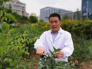 强农先锋丨赵庆柱：芬芳奇迹