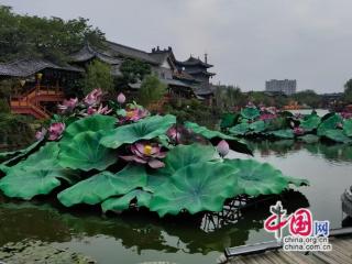 高舜礼：景区卓尔不群，有何“私密”可透？