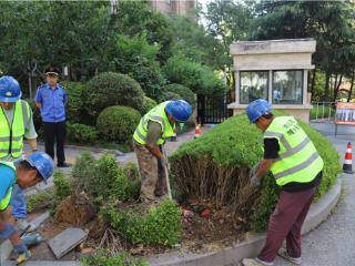 民声速应 难题快解 青岛市崂山区“综合执法服务工作站”为民服务显实效