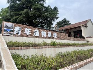 临沭县青云镇：谱写乡村振兴的“青创答卷”