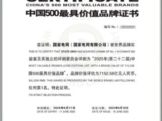 国家电网连续十年位居中国500最具价值品牌榜首