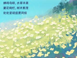夏至丨蝉蛙鸣，启盛夏