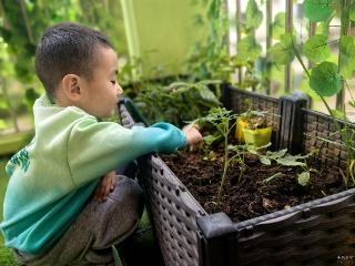 从环境到实践 阳光幼儿园让法治浸润幼儿成长