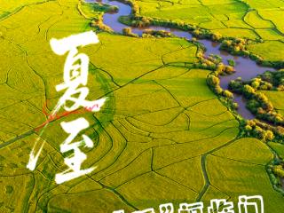 夏至到，吉林特产 “味” 你而来！
