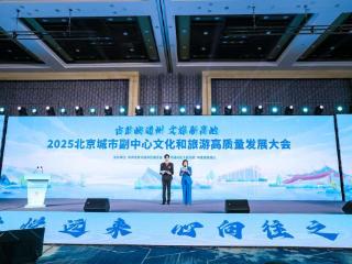 2025北京城市副中心文化和旅游高质量发展大会举行