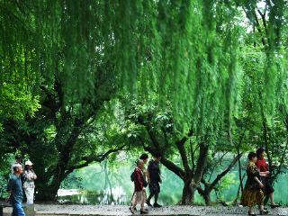 步道繁花映碧水 十里河滩“森呼吸”