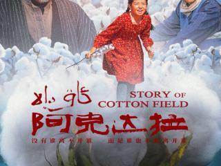中国援疆史诗电影《阿克达拉》首映 天山绿茶诠释民族共同体的世界意义