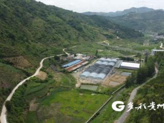 贞丰：东西部协作赋能产业升级 生态养殖激活乡村振兴新动能