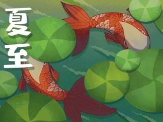 6月21日最佳情报|夏至济南蓝天白云超治愈，恭喜壹粉分享获奖