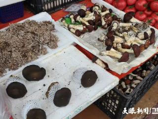 贵州人注意！“蘑界刺客”出没，远离“舌尖上的冒险”
