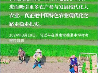 看图学习丨“三夏”时节丰收忙 总书记强调粮食生产年年要抓紧